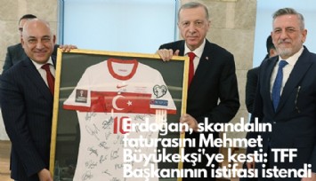 Cumhurbaşkanı Erdoğan, skandalın faturasını Mehmet Büyükekşi'ye kesti: TFF Başkanını istifası istendi