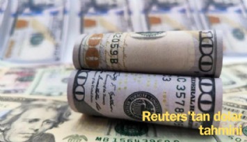 Reuters'tan dolar tahmini: 2024'de 1 dolar kaç Lira olacak?