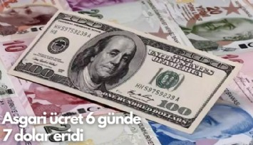 Asgari ücret 6 günde 7 dolar eridi