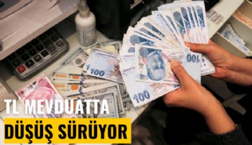 TL mevduatında düşüş sürüyor