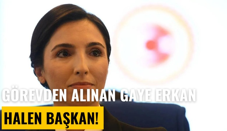 Görevden alınan Hafize Gaye Erkan, halen başkan!