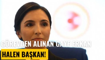 Görevden alınan Hafize Gaye Erkan, halen başkan!