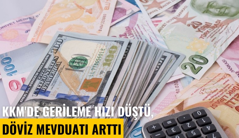 KKM'de gerileme hızı düştü, döviz mevduatı arttı