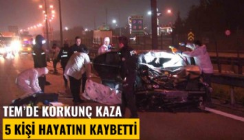 TEM'de korkunç kaza: 5 kişi hayatını kaybetti