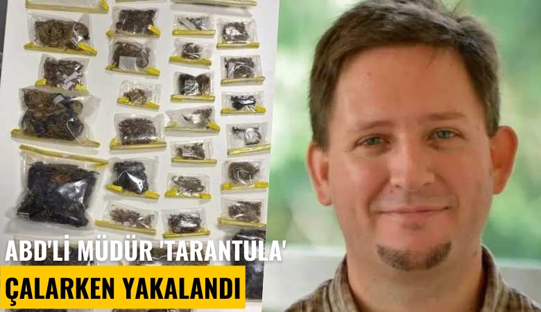 ABD'li müdür 'Tarantula' çalarken yakalandı