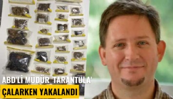 ABD'li müdür 'Tarantula' çalarken yakalandı