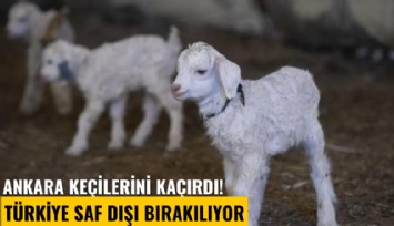 Ankara keçilerini kaçırdı! Türkiye saf dışı bırakılıyor