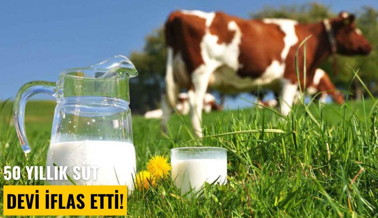 50 yıllık süt devi icradan satılık!