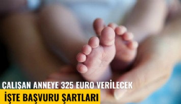 Çalışan anneye 325 euro verilecek? İşte başvuru şartları