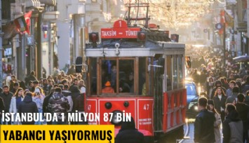 İstanbul'da 1 milyon 87 bin yabancı yaşıyormuş