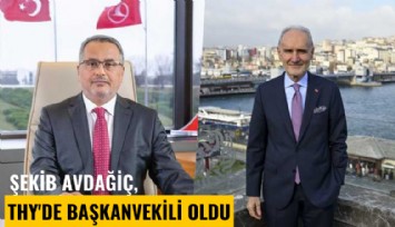 Şekib Avdağiç, THY'de Başkanvekili oldu