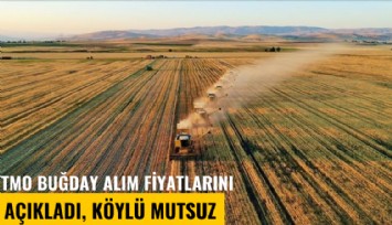 TMO 2024 buğday alım fiyatlarını açıkladı, köylü mutsuz