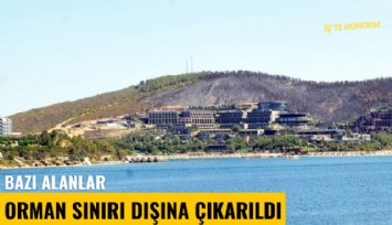 Bazı alanlar orman sınırı dışına çıkarıldı