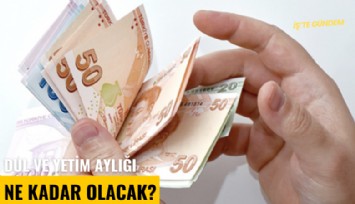 Dul ve yetim aylığı ne kadar olacak?