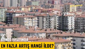 Konut fiyatında en fazla artış hangi ilde?