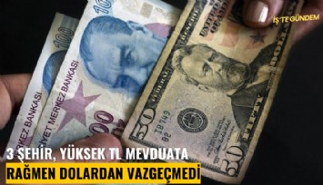 3 şehir, yüksek TL mevduata rağmen dolardan vazgeçmedi