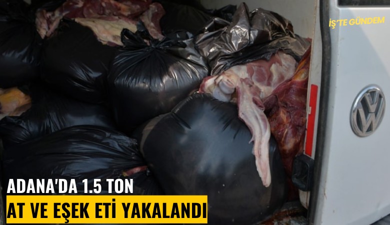 Adana'da 1.5 ton at ve eşek eti yakalandı