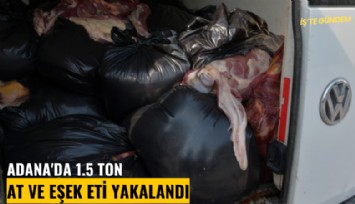 Adana'da 1.5 ton at ve eşek eti yakalandı