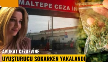 Avukat cezaevine uyuşturucu sokarken yakalandı