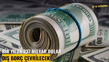 Bir yılda 237 milyar dolar dış borç çevrilecek