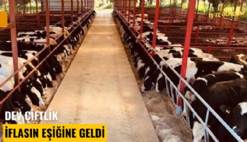 Dev çiftlik iflasın eşiğine geldi