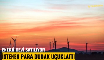 Enerji devi satılıyor: İstenen para dudak uçuklattı