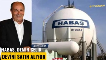 HABAŞ, demir çelik devini satın alıyor