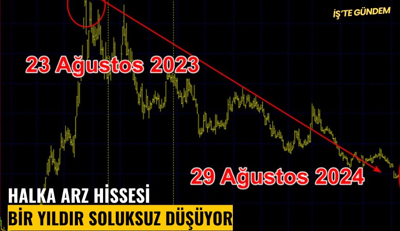 Halka arz hissesi bir yıldır soluksuz düşüyor