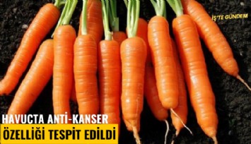 Havuçta anti-kanser özelliği tespit edildi