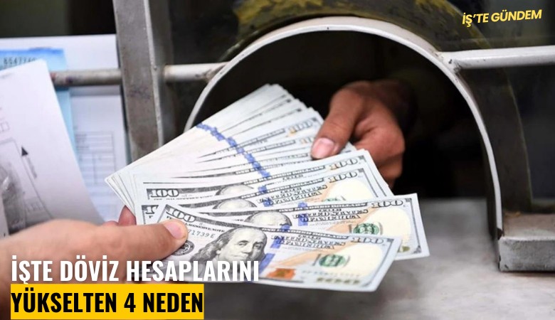 İşte döviz hesaplarını yükselten 4 neden