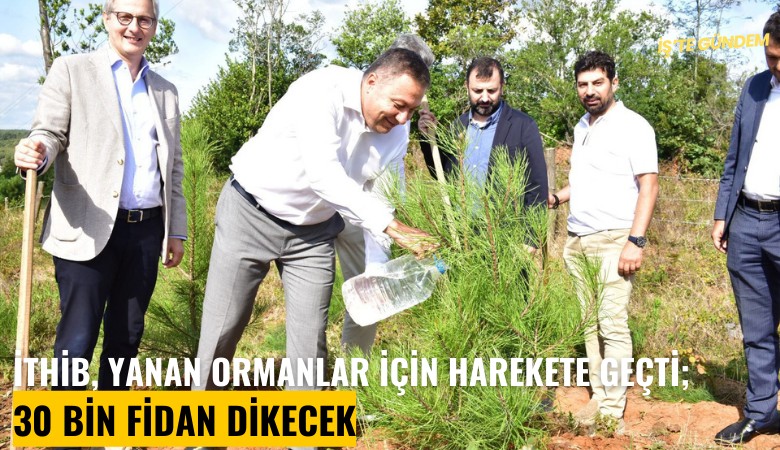 İTHİB, yanan ormanlar için harekete geçti; 30 bin fidan dikecek