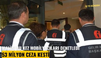 Maliye bu kez mobilyacıları denetledi, 53 milyon ceza kesti