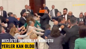 Meclis'te yumruklar konuştu, yerler kan oldu