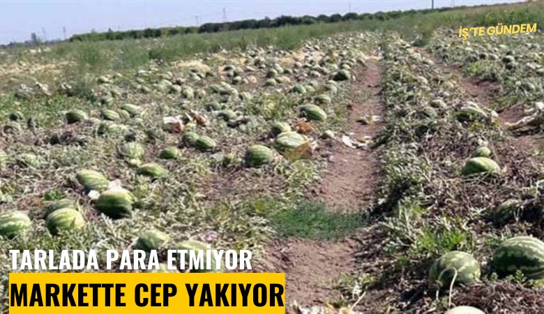 Tarlada para etmiyor, markette cep yakıyor