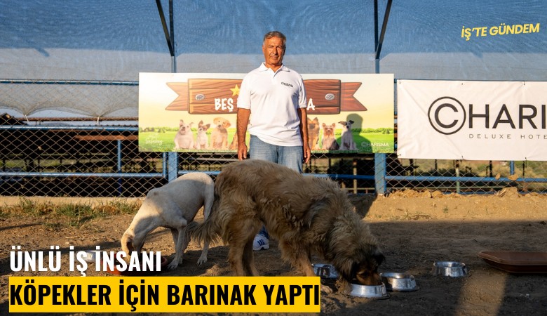 Ünlü iş insanı çiftliğine köpekler için barınak yaptı