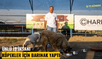 Ünlü iş insanı çiftliğine köpekler için barınak yaptı