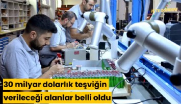 30 milyar dolarlık teşviğin verileceği alanlar belli oldu