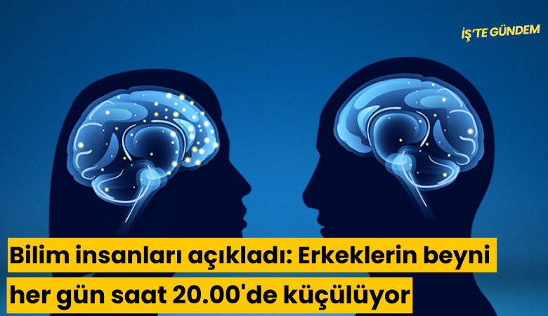 Bilim insanları açıkladı: Erkeklerin beyni her gün saat 20.00'de küçülüyor