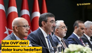 İşte OVP'deki dolar kuru hedefleri