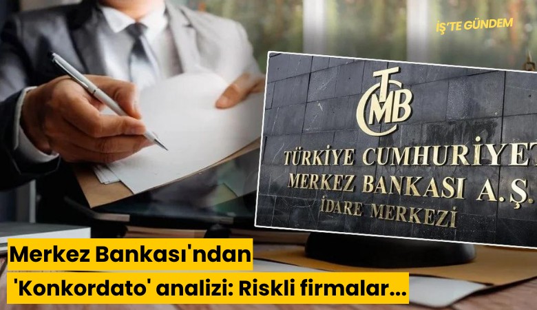 Merkez Bankası'ndan 'Konkordato' analizi: Riskli firmalar...