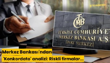 Merkez Bankası'ndan 'Konkordato' analizi: Riskli firmalar...