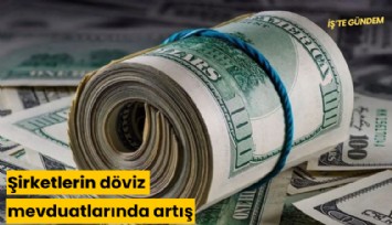 Şirketlerin döviz mevduatlarında artış