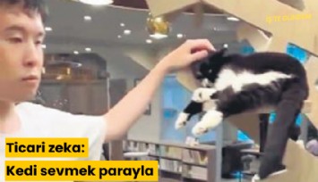 Ticari zeka: Kedi sevmek parayla